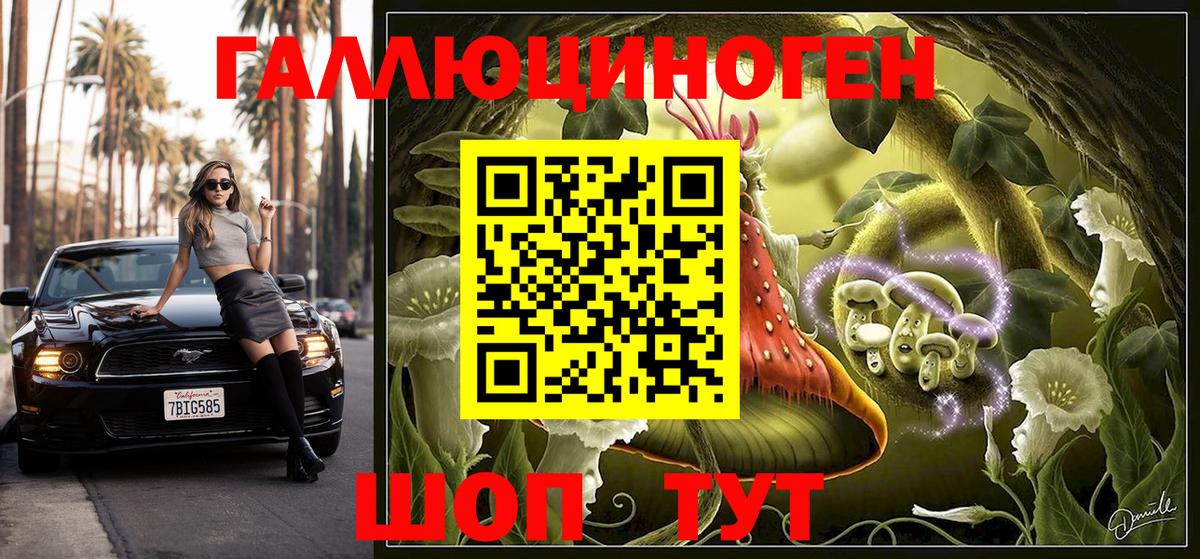 Кимры  продажа наркотиков  Вход с VPN  Псилоцибиновые грибы Cubensis 