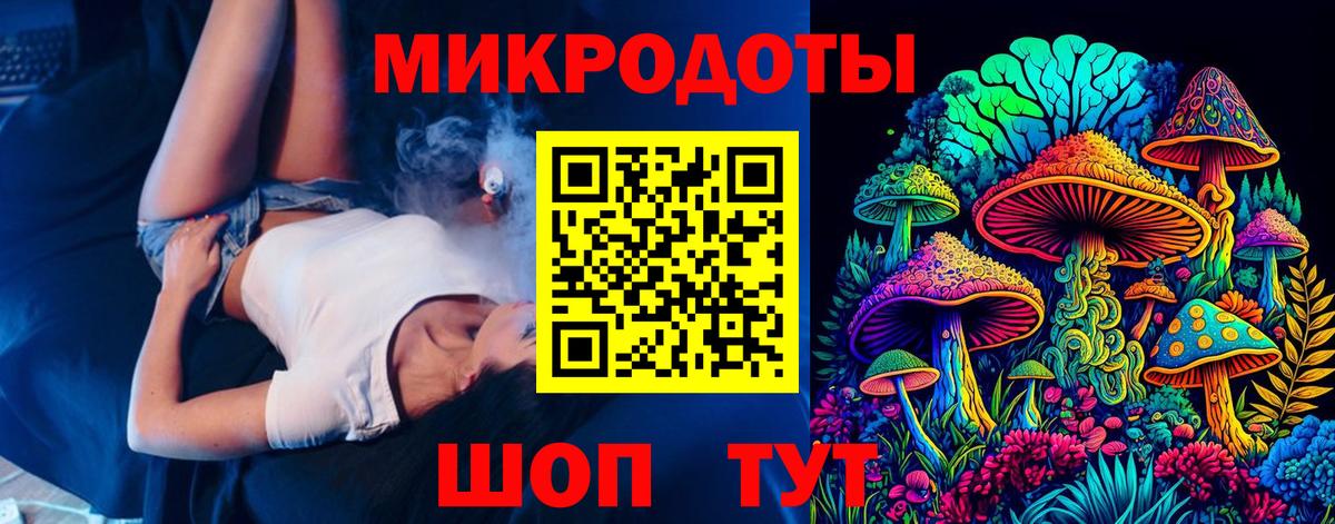 Псилоцибиновые грибы Psilocybine cubensis Кимры